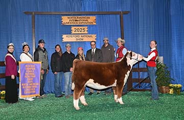 KJ DCC 181H Lavender 835N ET